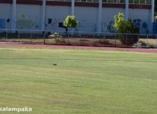Στάδιο Καλαμπάκας: αγώνας ποδοσφαίρου Αστυνομικών αύριο στις 16.00
