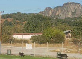 Αφύλαχτο το γήπεδο Καστρακίου