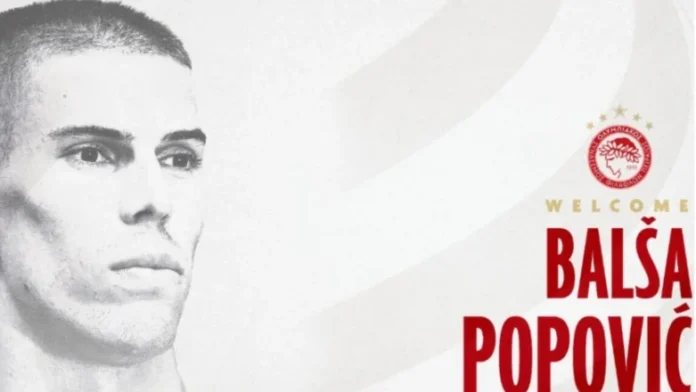 popovic-782x440