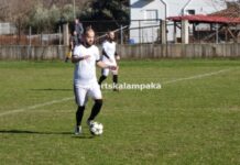 Ανανεώσεις της Δόξας Χρυσομηλιάς